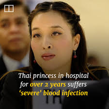 Princess Bajrakitiyabha Mahidol has been unconscious since falling ill with  a heart condition in December 2022. (Link in comments) #asia #southeastasia  #thailand #monarchy
