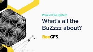 Image result for Computers Data Formats File Systems Parallel