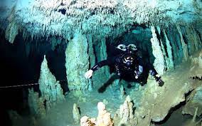 Once registered, gain access to the getting started tutorial. Fun With Adventure Tours Review Of Cenote Xplore Playa Del Carmen Mexico Tripadvisor