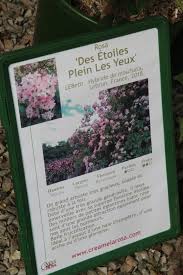 Les Portes Ouvertes Melarosa C Est Un Jardin Extraordinaire Plaisir Jardin Com En 2020 Grands Arbustes Arbuste Generosite