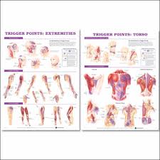 Trigger Point Chart Set Laminated An 9781587796210