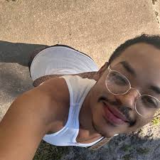 Feeding Cats Wet Food