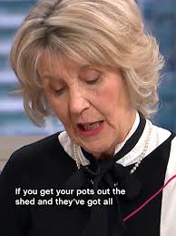 Nancy Birtwistle Cream Cleaner