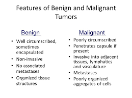 For example, a benign tumor of the thyroid gland can cause thyrotoxicosis (excess of thyroid hormones) or a gastrinoma (stomach) can secrete gastrin leading to high gastric acid production. Pathology Of Neoplasia Ppt Video Online Download