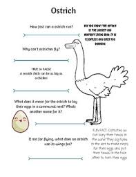 20,000 40,000 5,000 10,000 3) what color are the american robin's eggs? Bird Trivia By Starting Olson Teachers Pay Teachers