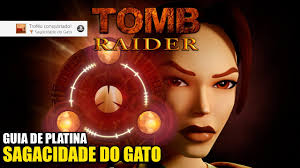 PLATINA RESOR. GATO A80/A100 ORIGINAL