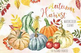 Watercolor Autumn Harvest Clipart Pumpkin Patch Apple Picking Fall Leaves Foliage Gourds Png Instant Download Thanksgiving Clip Art Painted In 2021 Thanksgiving Clip Art Watercolor Autumn Leaves Pumpkin Coloring Pages