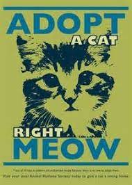 •a psa is a public service announcement. 86 Psa Ideas Public Service Announcement Public Service Yahoo Images