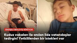 Bir çocuğun kuduz olduğu Bitlis'te vatandaşlar tedirgin! Sahipsiz  köpeklerin toplatılmasını istiyorlar