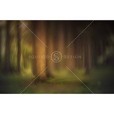 Entdecke rezepte, einrichtungsideen, stilinterpretationen und andere ideen zum ausprobieren. Serene Forest Digital Backdrop Squijoo Com