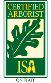 The project arborist will meet with the landscape. Riverbend Landscapes Tree Service Serving Fairfax Loudoun Counties Va