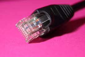 Free Images Technology Macro Pink Lighting Close Up Product Hardware Pc Magenta Connection Plug Peripheral Computer Accessories Data Cable Edp Network Cables Electronic Device Electronics Accessory Connecting Cable 4434x2956