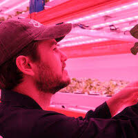 200+ "Chatterton" profiles