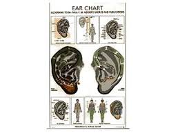 Ear Chart Paul Nogier