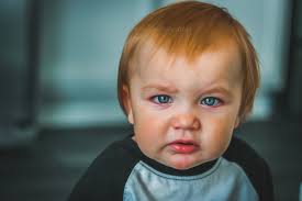 Reed Kamila Photography