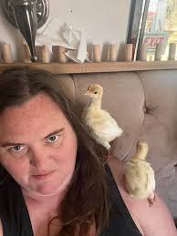 Update:::: HI IM ASHLEY AND I GUESS IM A TURKEY MOM NOW. 😂😂😂😂😂😂 damn  RK!!! I got these out of a bin at RK that said prairie bluebell eggers…  they all have