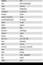 Lists by body system as well as alphabetic access. Medical Terminology Printable Worksheets Medical Terminology Suffixes Root Words 63 Ideas In 2021 Medical Terminology Medical Terminology Flash Cards Medical Prefixes