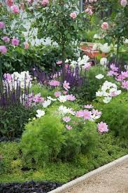 A Growing Obsession Garden Flower Blog A Growing Obsession Garden Blog Cottage In 2020 Garden Ideas Budget Backyard Beautiful Flowers Garden Flower Landscape