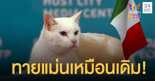 ผลบอลเมื่อคืน ยูโร2020 และ โคปาอเมริกา2021 ผลปรากฏว่า. Bidb2h6mvxgxdm