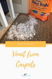 Step By Step Guide To Cleaning Vomit From Your Carpet Including Tips On Treating The Stain And How Stain Remover Carpet Vomit Cleaner Carpet Cleaner Homemade