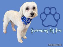 Free Flea Treatments with Dog Grooming in September