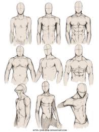 Most critical organs are housed within the torso. Art Tutorials Sketches Drawings Figure Drawing Reference
