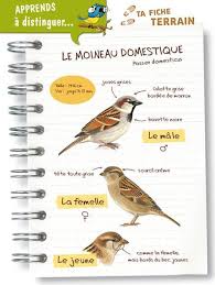 L Oiseau Magazine Junior N 1 En 2020 Oiseaux Des Jardins Oiseaux Oiseaux Du Ciel