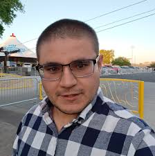 Are pals getting stuck and sick in Palworld a bug?