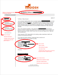 We did not find results for: How To Get An Esa Letter Online Arxiusarquitectura