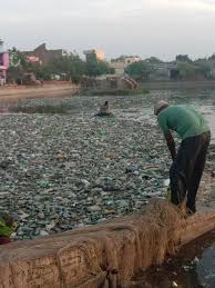 2 making sustainable food choices. Oipa India Asks For Immediate Action To Stop Water Pollution Levels From Rising In The State Of Haryana Oipa