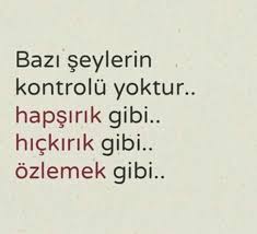 Bazi Seylerin Kontrolu Yoktur Hapsirik Gibi Hickirik Gibi Ozlemek Gibi Sozler Anlamlisozler Guzelsozler Man Alintilar Alinti Sozler Ozlu Sozler