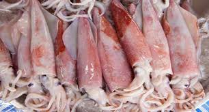 We did not find results for: August 2017 Dian Restu Agustina