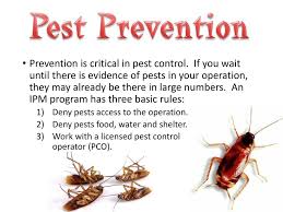 The best way to deal with bedbug infestation is to contact a pest control company to inspect the premises and treat the problem in a very short period of time. Rodents Insects And Other Pests Are More Than Just Unsightly To Customers Ppt Download