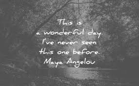 260 Gratitude Quotes That Will Bring You Happiness Gratitude Quotes Grateful Quotes Quote Of The Day