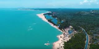 Tổ chức thực hiện, kiểm tra, giám sát và điều. Long Háº£i Co Gi ChÆ¡i Táº¥t Táº§n Táº­t Kinh Nghiá»‡m Du Hi Long Háº£i