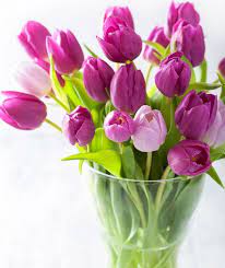 How To Care For Tulips Tulips In Vase Tulips Flowers Growing Tulips