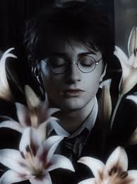 The Consequences of A Binding Ritual Tomarry Fanfic