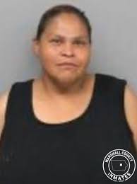 SPENCER, VANA ILENE American Indian or Alaska Native Female 07/24/2025 39  Marshalltown Police Department Warrant: Bench warrant AGCR104512 issued by  MARSHALL, IA; Arrest Date 07/24/2025; Bond