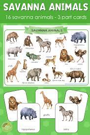 Kruger national park hosts some of the known mammals like elephants, buffalos, rhinos, and cats. Savannah Animals Montessori 3 Part Cards Savanna Animals Animal Activities For Kids Savannah Chat