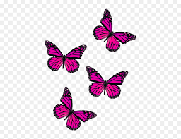 Butterfly Fly Pink Butterflies Freetoedit Aesthetic Butterfly Wallpaper Vsco Hd Png Download Vhv We have a massive amount of hd images that will make your computer or smartphone look absolutely fresh.