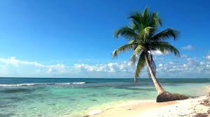 Dreamscene Plage Paradisiac Hd Wall Paper Animation Youtube Animation de boucle générée par ordinateur. dreamscene plage paradisiac hd wall paper animation