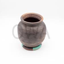 Image result for Oreosyce africana