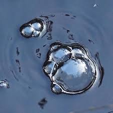 We did not find results for: How To Repair Pond Liner That Is Leaking Fast Easy Fixes Pond Informer