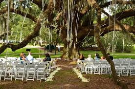 Osc Org Weddings Oak Tree Wedding Ceremony Tree Wedding Ceremony Oak Tree Wedding