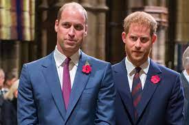 Prince Harry Appears To Hint At Rift Between Him And Prince William Page Six