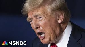 WISN 12 News Contributor Van McNeil learns to grill like a pro