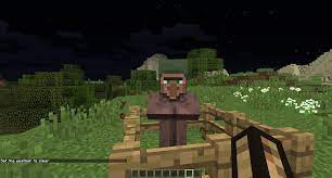 Zombie villagers appear to have the nausea status effect. How To Cure A Zombie Villager In Minecraft