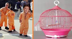 De aanhouding van lil kleine zou zondagochtend rond 03.00 uur zijn geweest. Dit Zijn De Meest Hilarische Reacties Op De Arrestatie Van Lil Kleine Sgxl Nl