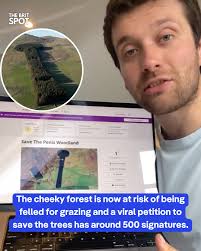 Legend has it that the 'Treenis' was planted back in 1874 as a phallic  symbol of defiance against English invaders. A petition now calls for the  woodland to be declared as a