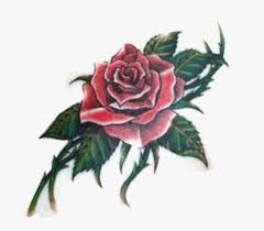 You can even see the thorns. Rose And Thorns Tattoos Pictures And Cliparts Download Rose Tattoo For Women Chest Hd Png Download Kindpng